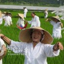 용전법인 이미지