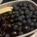 유림-1130 | 사실 꿈을 꾼 듯한 26년 3월 둘째주