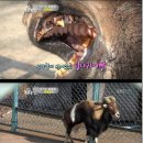 균영농장 이미지