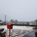 마당민박 이미지