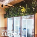 벽면조화장식,과일전문점 갈팡즙팡 역삼본점 싱그러운 벽면녹화 인테리어!