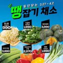땡큐바디