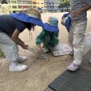 밝은빛유치원 이미지