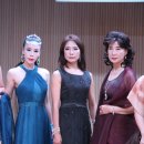 (사)소백산천연염색협회 Daum카페