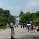 종로/경복궁 _ 국립민속박물관 가족들과 구경하기 좋은 _ 고양이 전시회 [요물, 우리를 홀린 고양이]