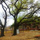 상동체육공원 이미지