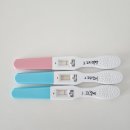 감사한양 마곡점 | [임신 극초기] 산전검사 결과 AMH 0.34? 극난저? 그리고 자연임신!