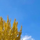 옐로우짐 9호점 이미지