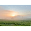 아름다운 아침 이미지