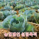 이상은행정사사무소 이미지