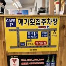 해가 | 온천천카페거리 해가횟집 내돈내산후기