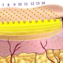 프로메디우스(주) 이미지