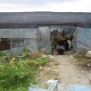 한솔이네농장 이미지