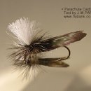 패러슈트(parachute) 이미지