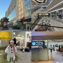 펫피플 스타필드명지점 | 부산 실내 가볼만한곳 명지 스타필드 주차장 쇼핑 남편이랑 데이트