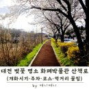 내창천 산책로화장실1 | 대전 벚꽃 명소 화폐박물관 산책로 | 개화시기·주차·코스 총정리 (+먹거리)