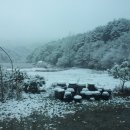 일진농장 이미지