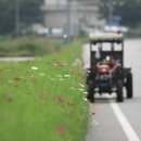 코스모스여관 - 북구 동북로 128 | 코스모스여관