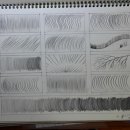 기초 보태니컬아트 이미지