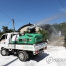 돼지청문회