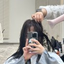 초이미용실 | [청주/용암동] 동남지구 미용실 초이에 톤다운 애쉬브라운 염색 추천