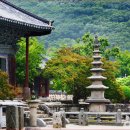 절굴목장 | 사계절 내내 아름다운 선운사,선운산 등산코스 위치 주차정보