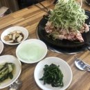 김여사네대패불