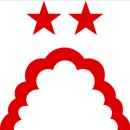 포레스트 이미지