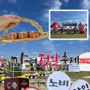 녹색성장종합체험전시관 | 2025 강경젓갈축제 1일차 실시간 후기 : 기본 정보, 부스 소개, 먹거리, 가수, 체험