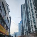 서면세종그랑시아 네이버블로그