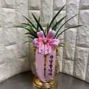 토끼꽃화원