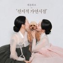 세종개인화보 전지적가연시점 내돈내산 솔직후기! 단아한 한복 만삭화보 & 반려견 동반 촬영 총정리 🌸