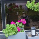 성복목장 이미지