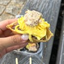 신촌김밥천국 | [신촌 맛집] 속 알찬 대존맛 신촌김밥 키친봄날 후기!