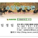 수양2 농장 이미지