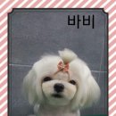깍까독 이미지