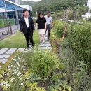 양구군치매안심센터 이미지