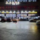 야옹아 멍멍해봐 아산점 이미지