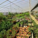 도천농장 이미지