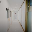 필라펠리스 이미지