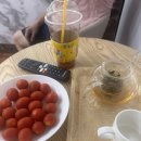 중국 정통 발관리