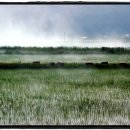 석모도 이야기 이미지