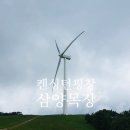 삼양여인숙 | 강원도 평창 여행 켄싱턴평창 대관령 양떼목장 삼양목장