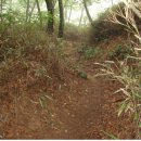 구룡령 옛길 이미지