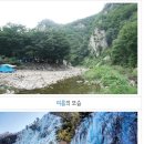 청송막창 이미지