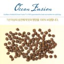 대구애견