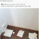 영원한 비밀은 없다 이미지