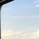 프롬디(FROM:D) 이미지