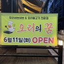 시흥 정왕동 맛집 건강한 밥상 오리의꿈 방문 후기