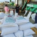 합천호농협대병지점 이미지